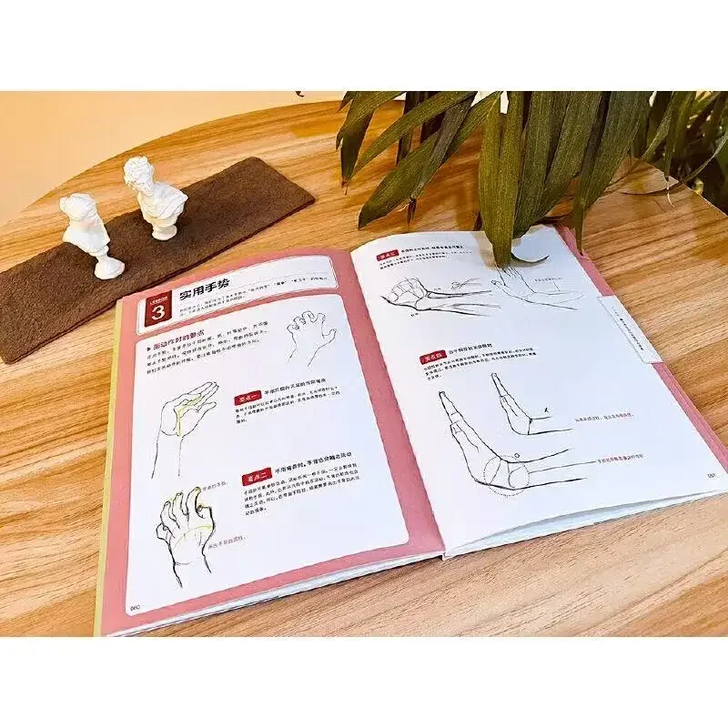 Handmaltechniken Anfänger Zero Basic Anime Charakter Hände Zeichnen Tutorial Kunstbuch