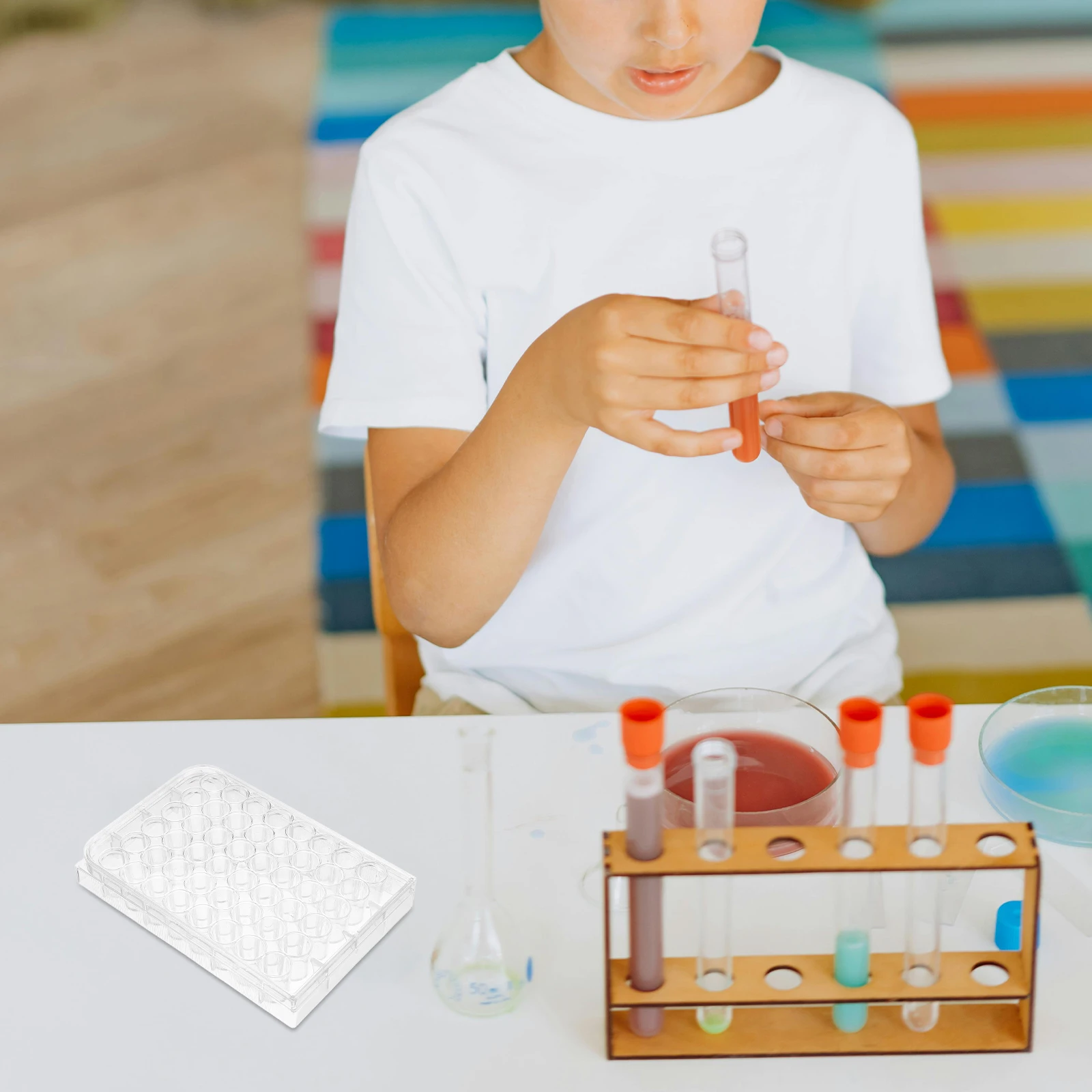 

Culture Plate Cell Dishes with Cover Clear Petri Science Laboratory Plastic for