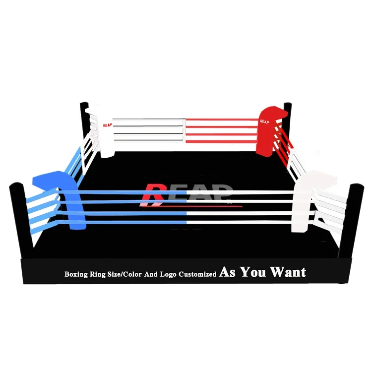 Factory Directly Cage Mma Octagon Cage Professional UFC Standard Competition Boxing MMA Cage