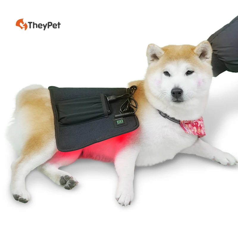 Wearable LED Light Therapy Wrap Horse Pain Relief 660 850Nm Back Recovery Belt Red Light Therapy