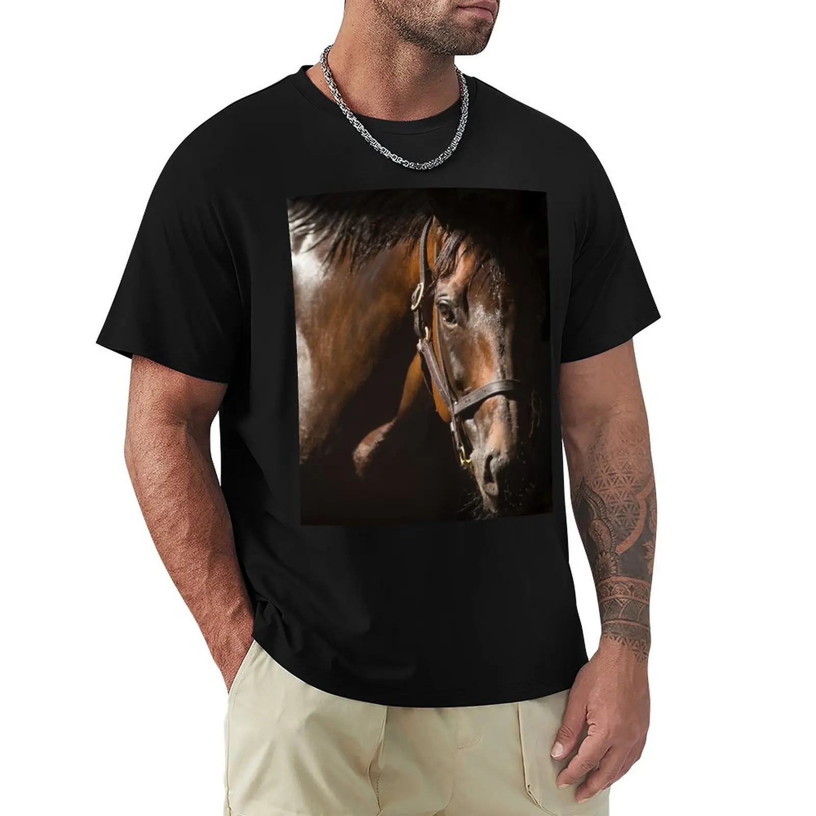 Winx - In The Shadows T-Shirt Basic Solid Color Short Sleeve T-Shirt