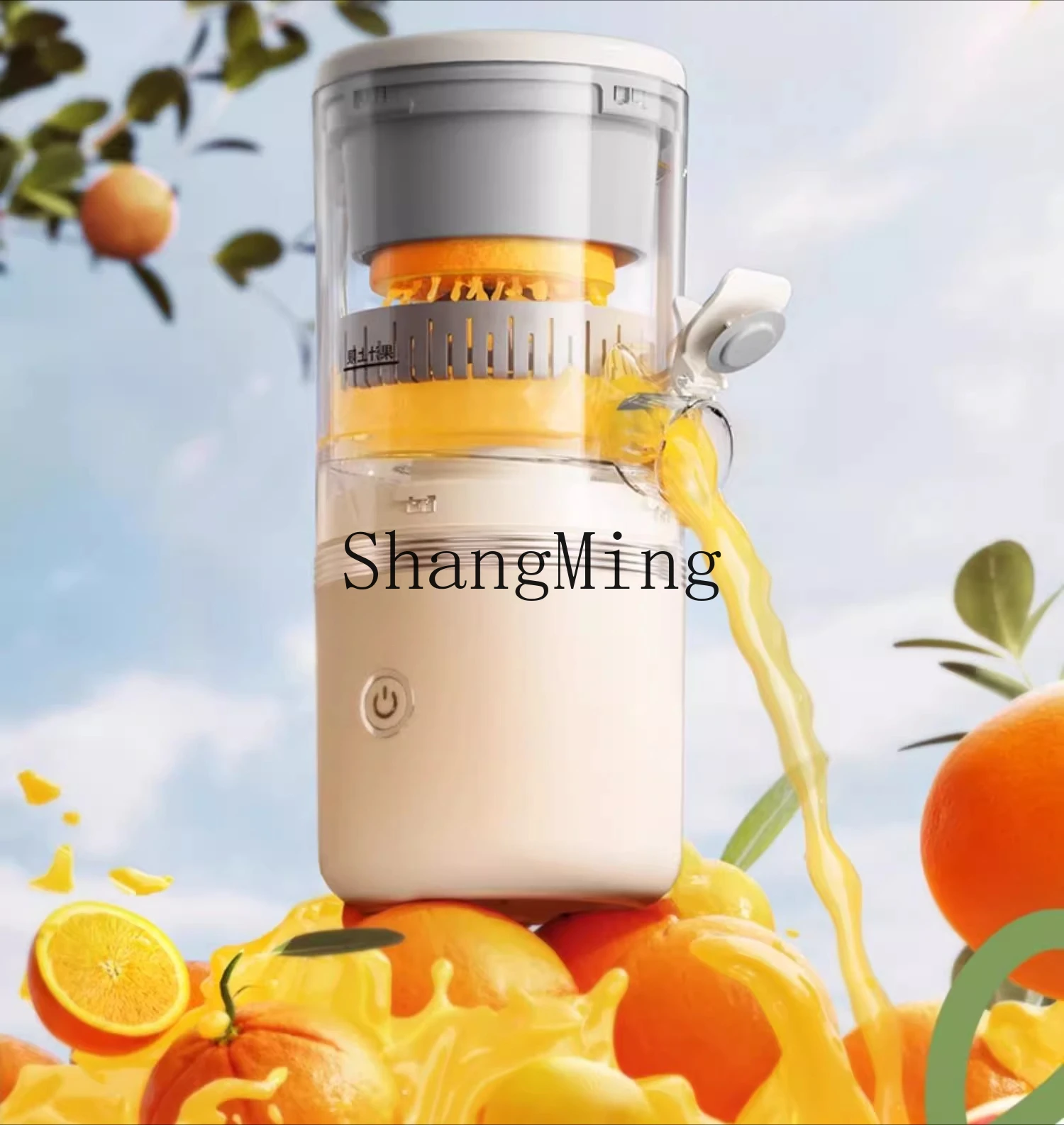 ZYY Macchina da cucina elettrica portatile automatica con separatore di succo di scorie multifunzionale per uso domestico