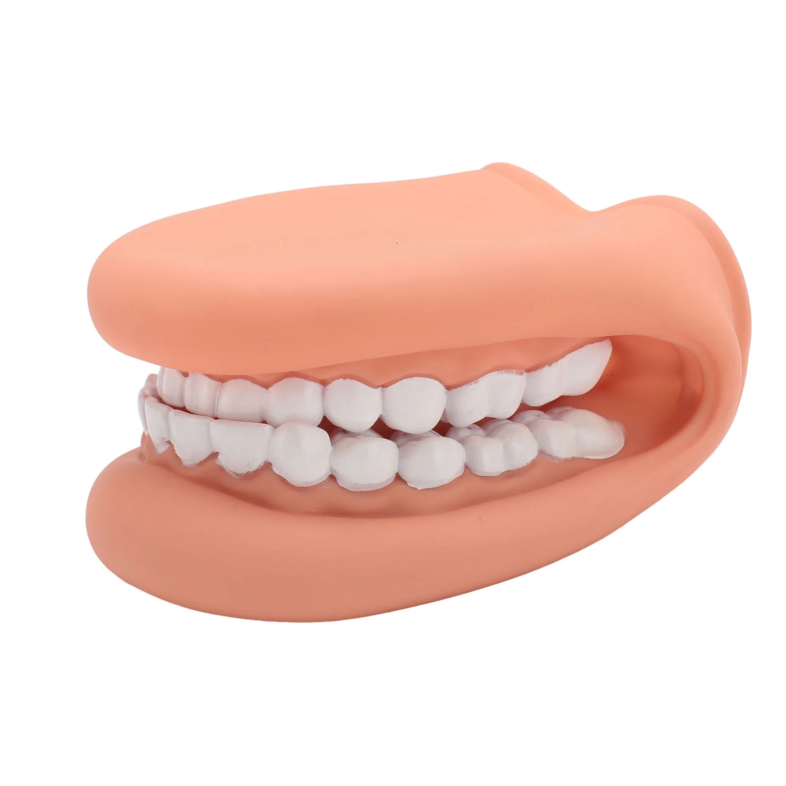 Mouth Puppet with Tongue 28 Teeth Silicone Speech Therapy Demonstration Teeth Model for Kids Teaching Teeth Care Model