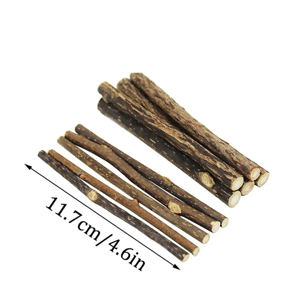 15pcs Natural Matatabi Cat Catnip Toy Kitten Molar Chew Stick Pet Cleaning Teeth Cat Treat Toy Actinidia Silvervine Pet Products