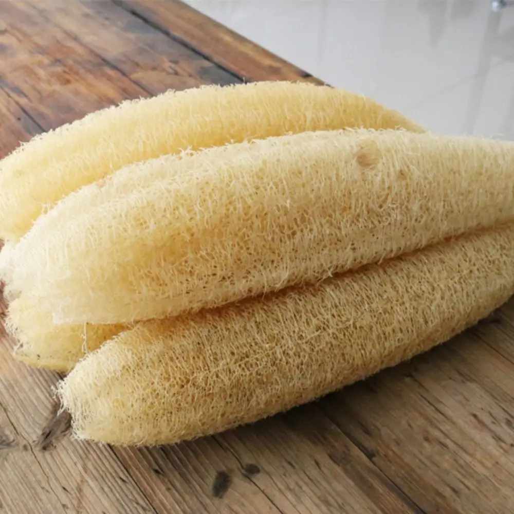 Natural Loofah Luffa Sponge Long Non-stick Dishwashing Artifact Good Absorbency Ecological Planting Pot Brush Bath Kitchen