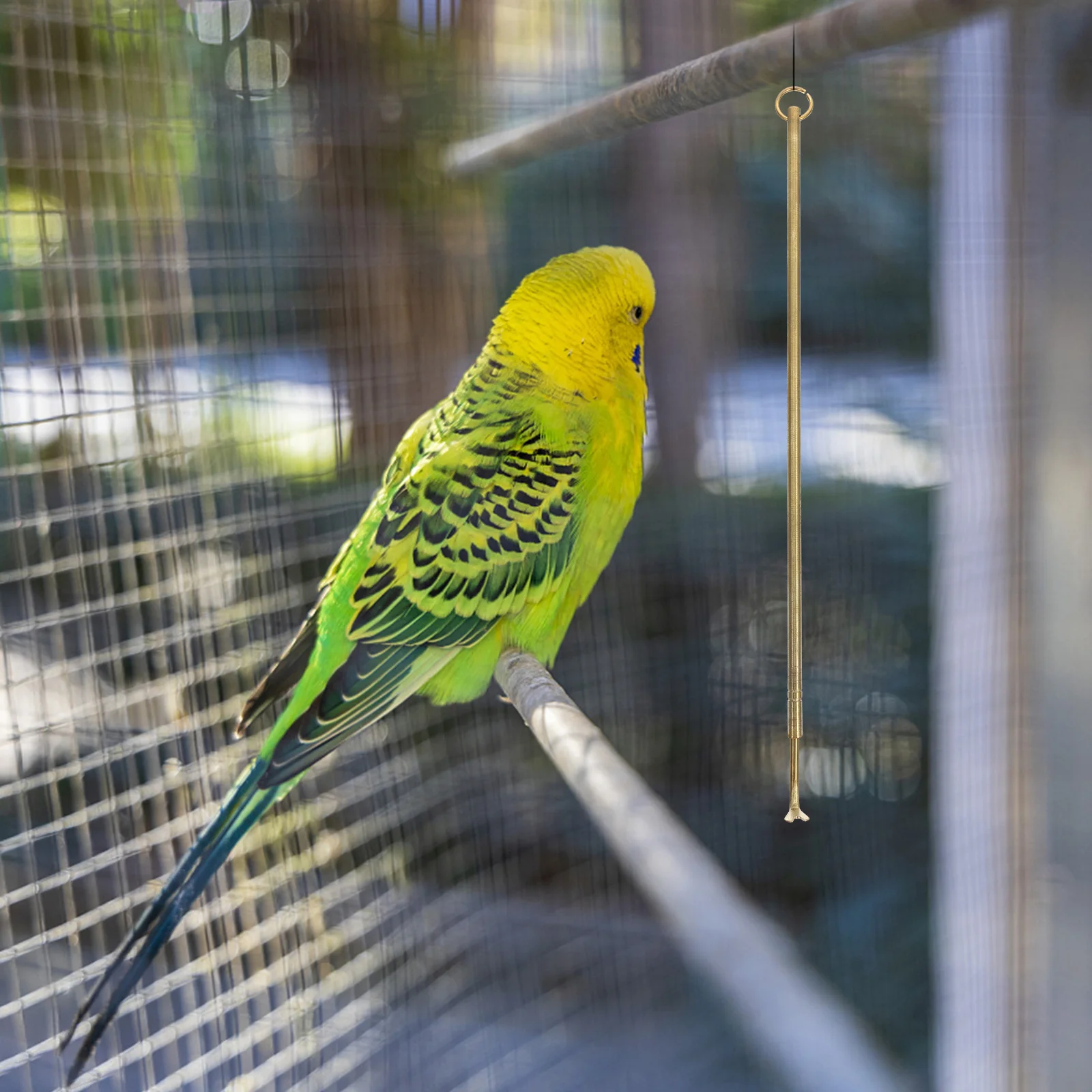 

Bird Cage Cleaner Professional Brass Cleaning Tool Long Handle Pet Cage Cleaner Guano Cleaning Tool Bird Poop Remover