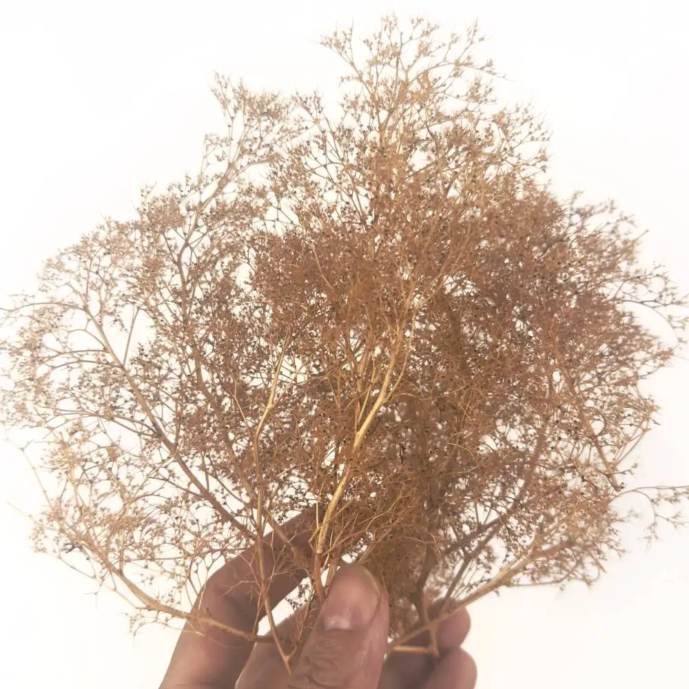 Thumbnail 2 - #66 Model Making Kits Comparison Guide