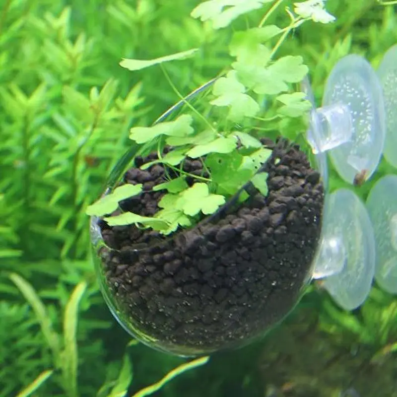 Aquarium Decoration Plant Cup Pot Acrylic Aquatic Plant Cup With Suction Holder Planting Cylinder Cup Aquarium Decoration Tool