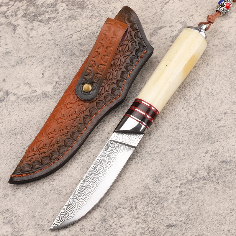 New 67 layer forged Damascus steel survival stable hand wooden handle camping fixed fruit fishing EDC cutting tool