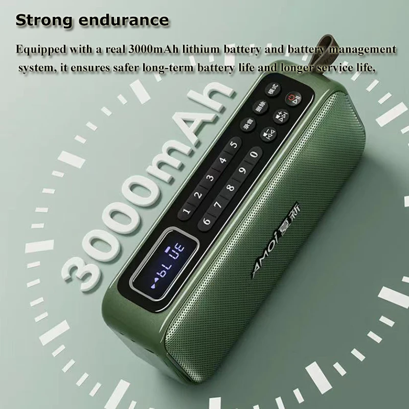 Portable FM Radio 3000mah Rechargeable Radios Receiver Bocinas Bluetooth Alta Potenci Recorder with LED Display TF Card USB Play