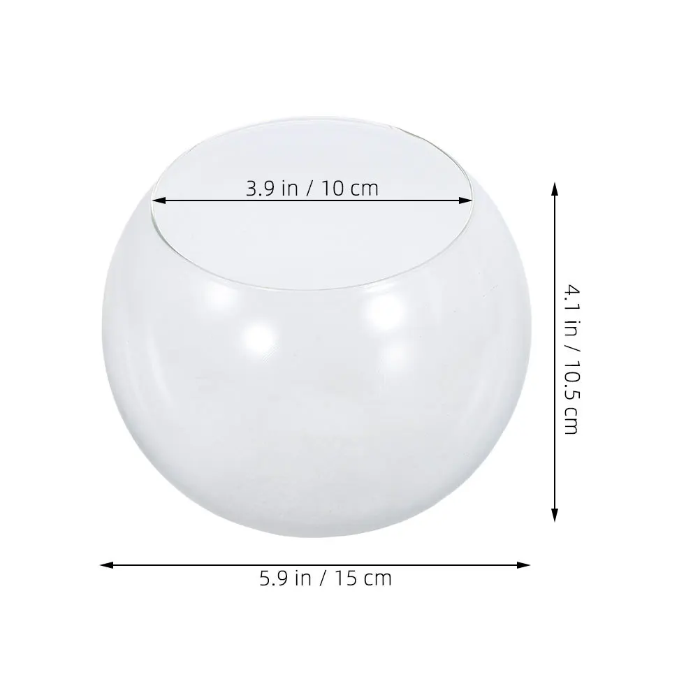 

Cactus Planter Desktop Glass Hydroponics Vase Terrarium for Succulent Flower Stand