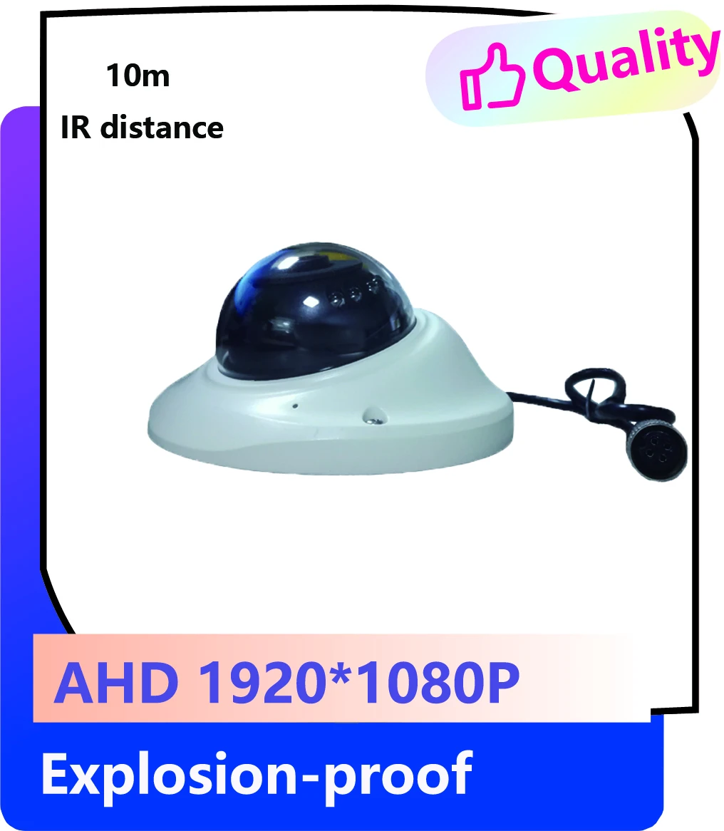 Backup Car Video Dome Shape Camera Supporting AHD 1920*1080P IR Night Vision DVR Video Recording