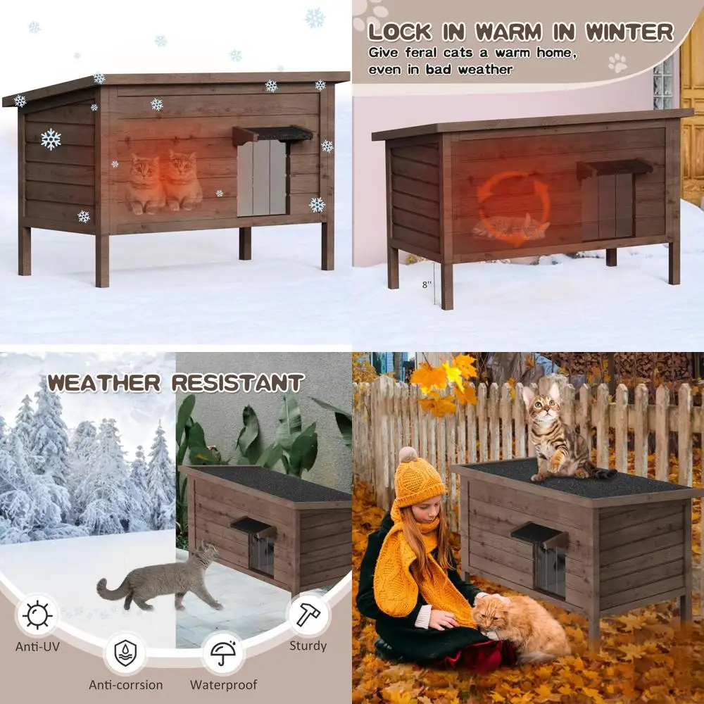 

Изолированный открытый фермерский кот, деревянный корпус для нескольких кошек, безопасный бар для презервативов для нескольких кошек, бродячих и возможностей