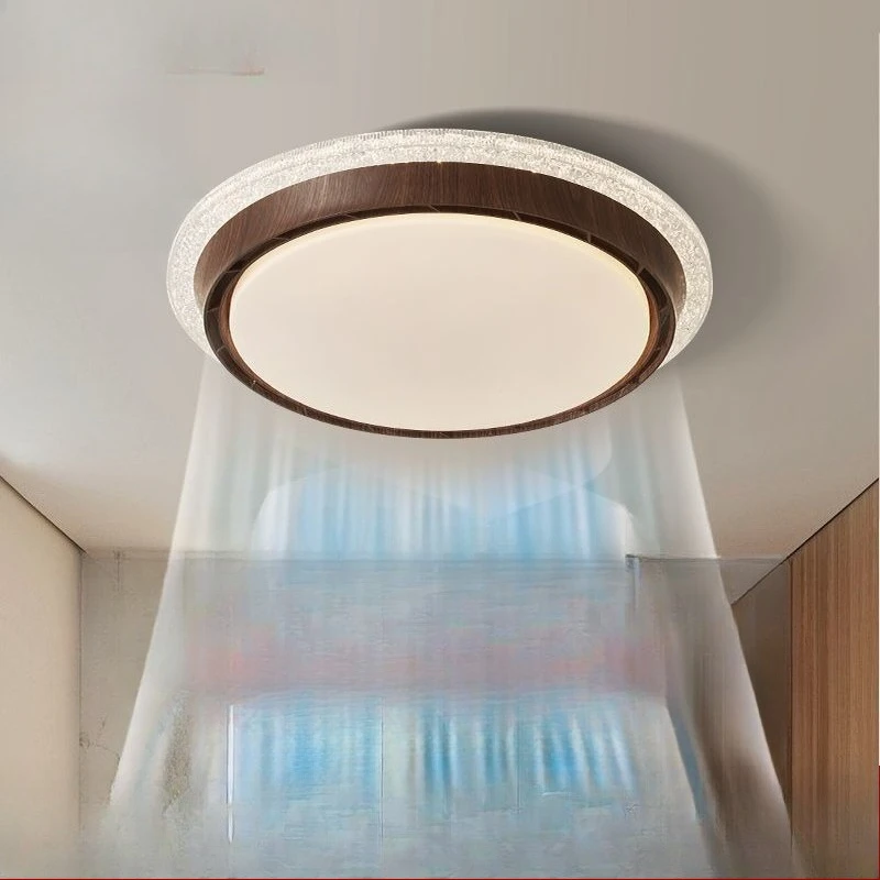 

Bladeless fan Bedroom light Dining room light Black ceiling light with fan
