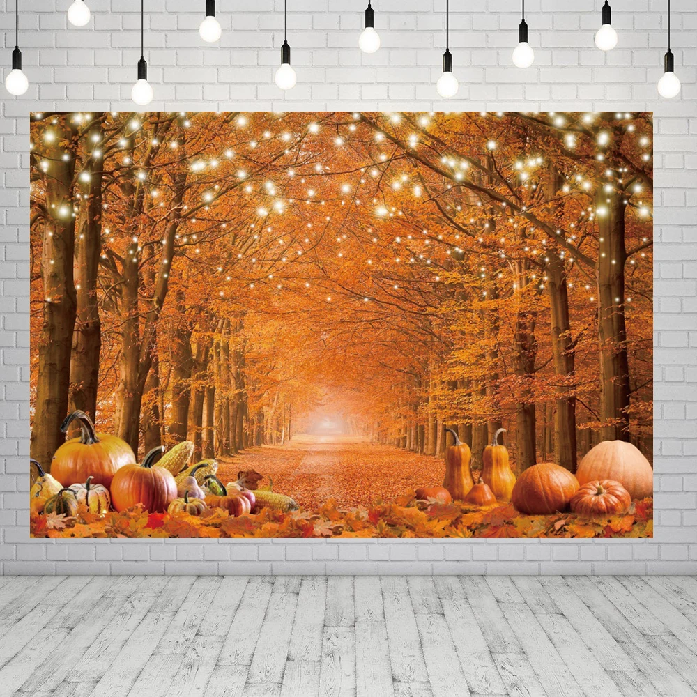 خلفية صور الخريف للتصوير الفوتوغرافي ، خلفية غابة الخريف ، أوراق القيقب لعيد الشكر ، يقطين الصديق ، ديكور الحفلات