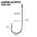 H10701N10  100pcs