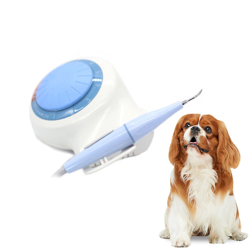 CE Certified Good Quality Veterinary Equipment Classic Model Veterinary Scaler Ultrasonic Dental- Scaler For Dogs