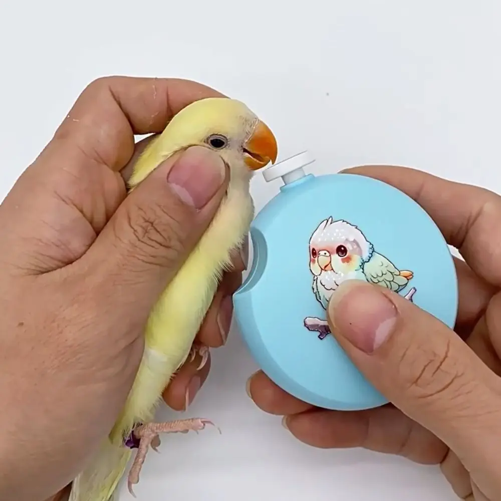 

Low Noise Electric Parrot Nail Trimmer Mini Round Bird Nail Cutter with 6 Grinding Heads Nail Trimming Tool