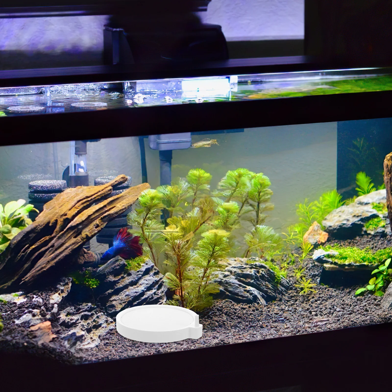 

Fish Tank Air Pump Atomizing Bubble Stone Quiet Accessories Set Oxygen Refiner Uniform Bubbles High Efficiency Easy