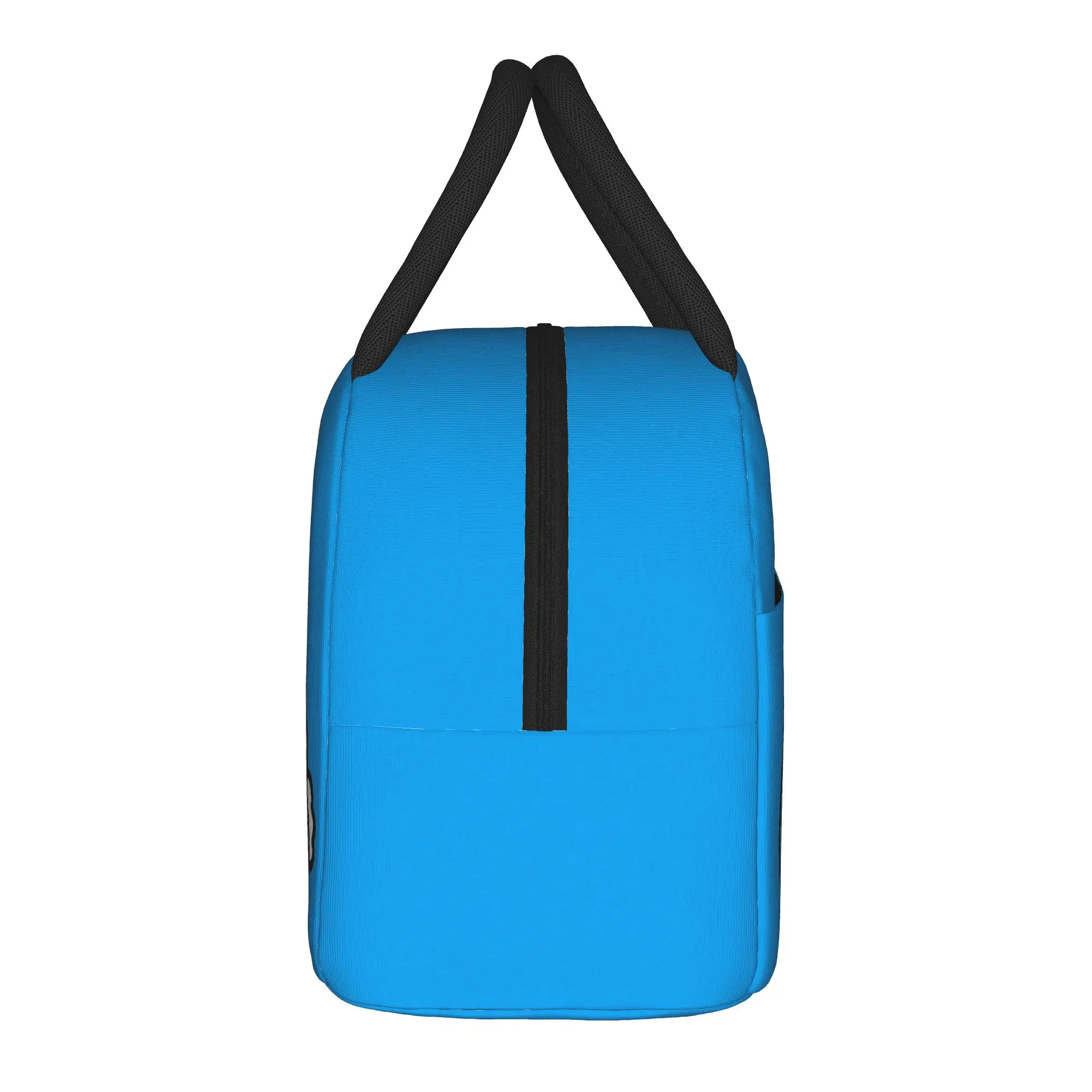 Love cat Comic Cat Bugcat Capoo  Insulated Lunch Bag Thermal Bag Reusable,Lunch Container  Portable Lunch Box Tote Food Bag