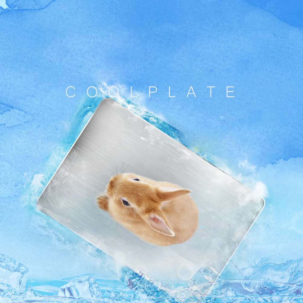 

Rabbit Cooling Plate Pad Bed Pet for Hutch Indoor Mat Ice Small Bunny Bedding Rabbits