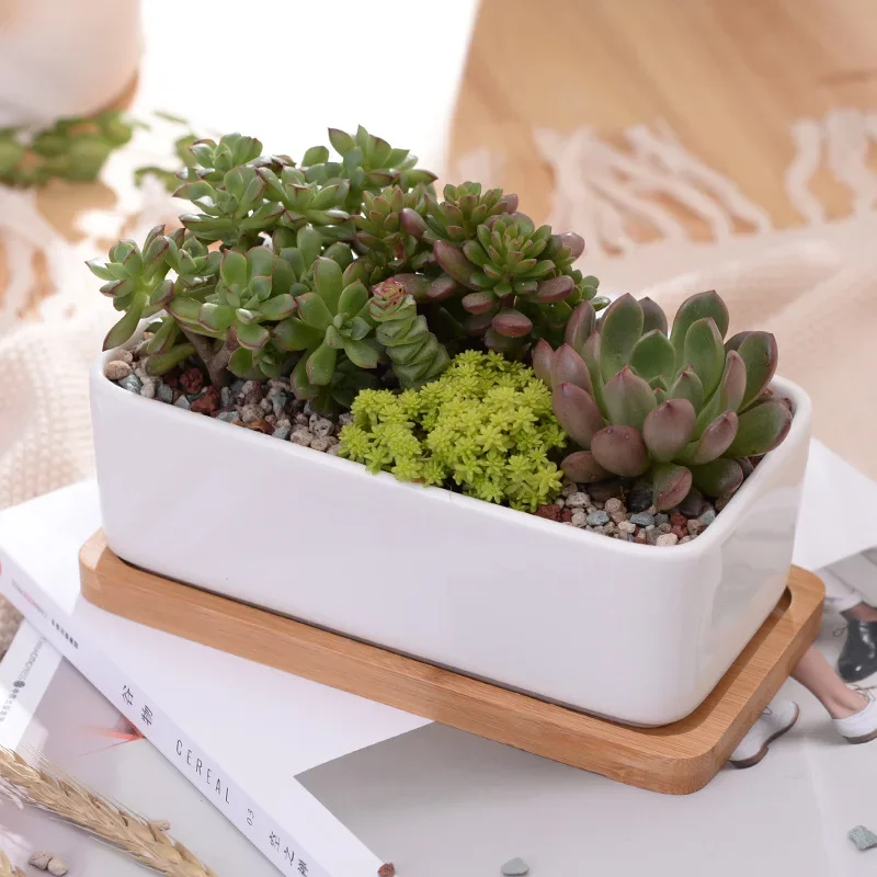 1 Set Minimalist Rectangle White Ceramic Succulent Plant Pot Porcelain Desktop Flower Pot Zakka Home Decor (1 Pot + 1 Tray)