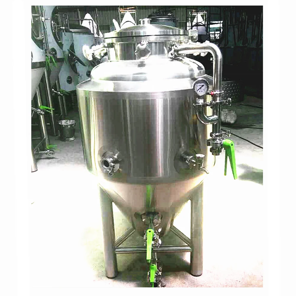 High Quality Fully Automated Brewing System 100 L Beer Fermenter Tanks