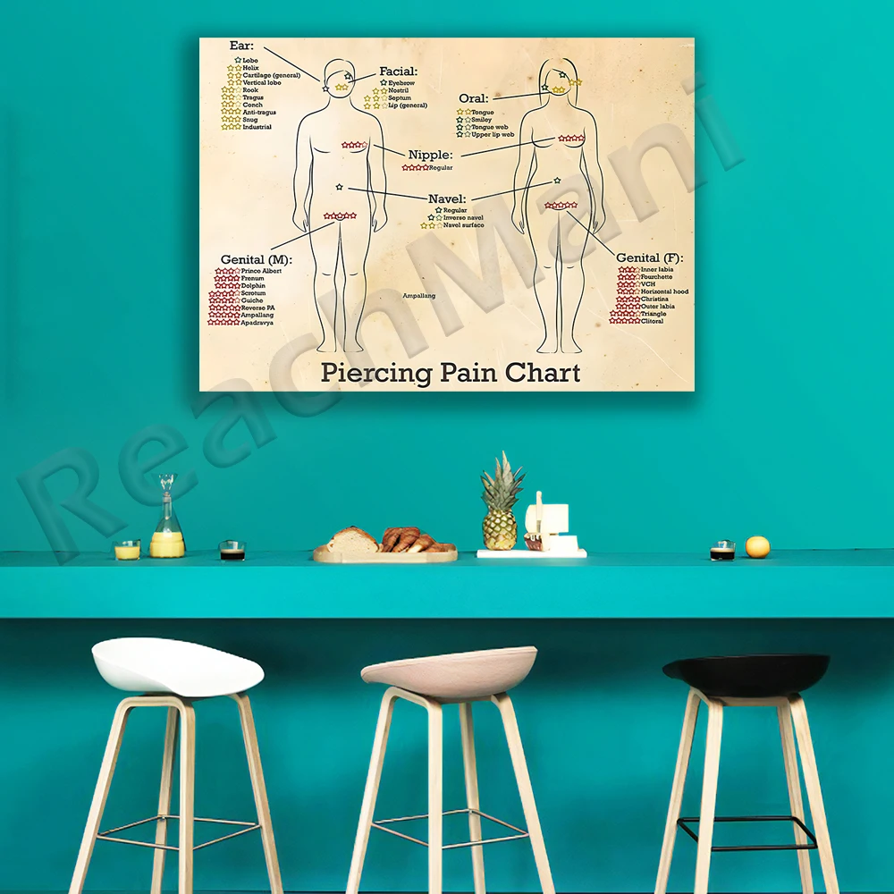 Vintage Poster Body Piercing Pain Chart Tattoo Artist Reference Guide Plaque for Tattoo Shop Club Home Decor