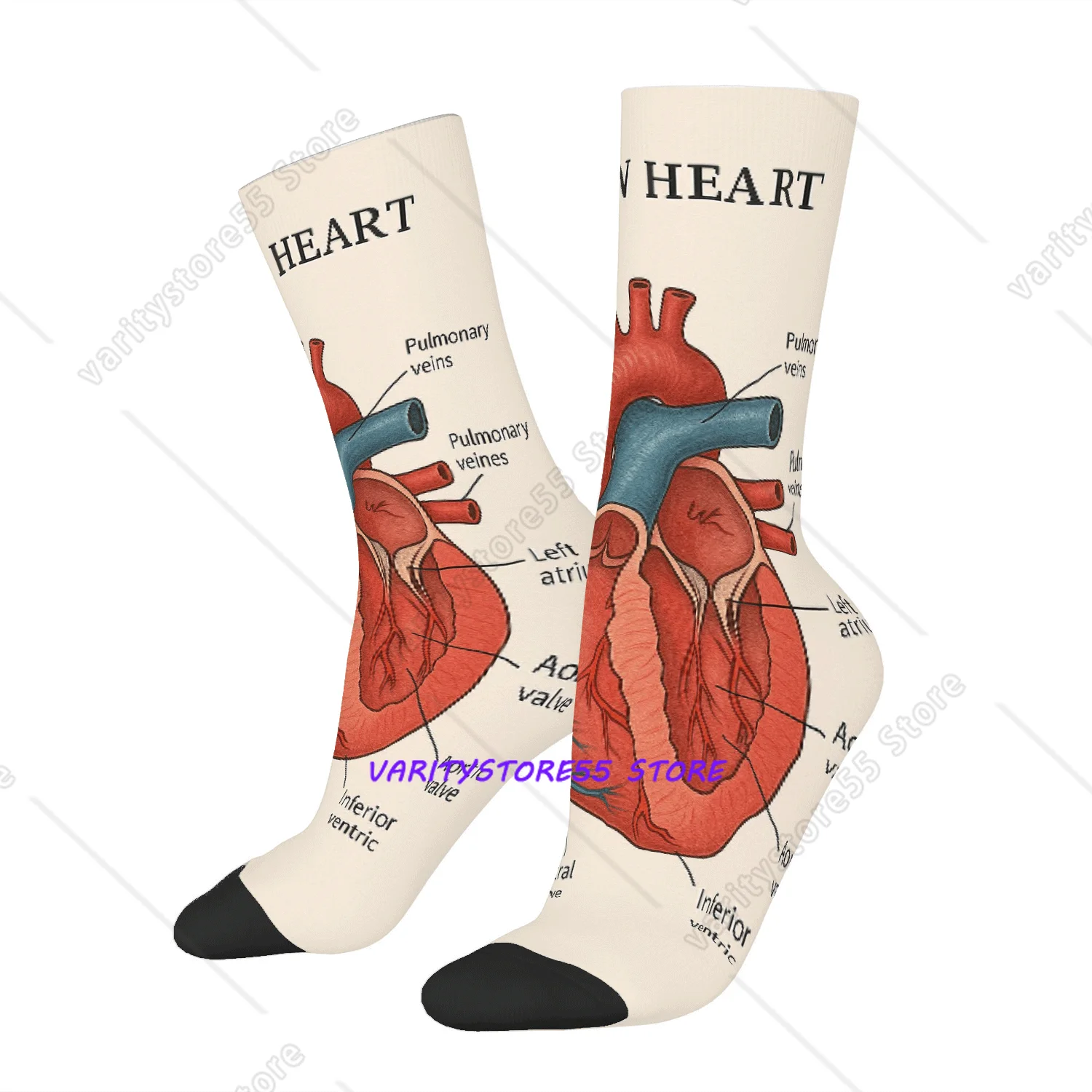 Men's Funny Anatomy Socks with Labeled Heart Diagram Blood Vessels Cardiology Themed Novelty Socks for Doctors Students Patients
