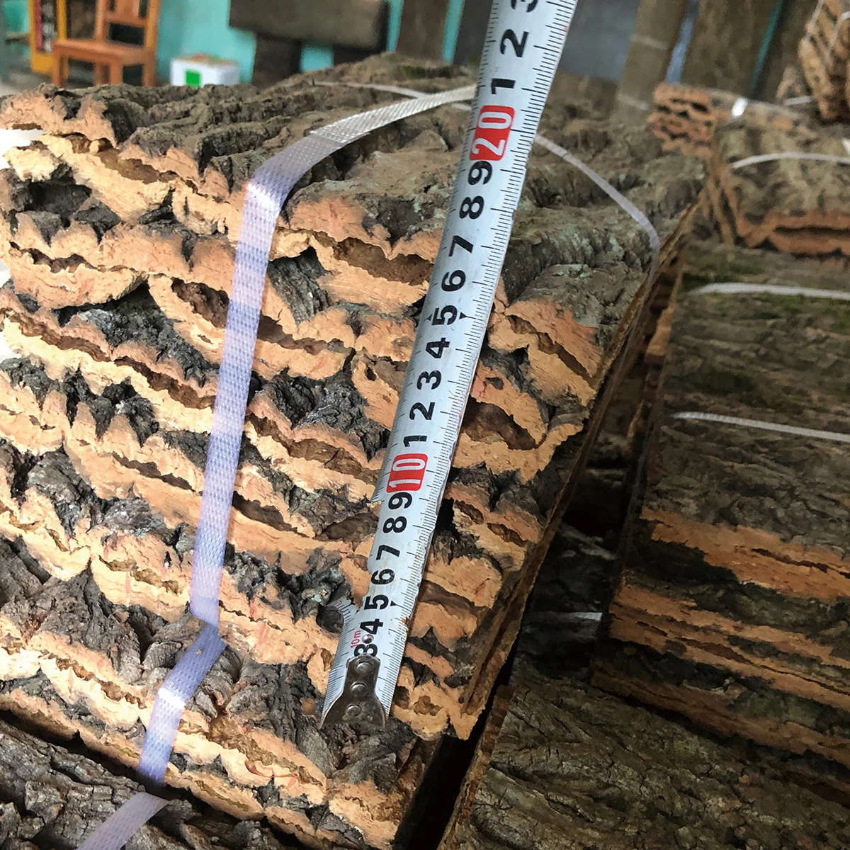 15/30/40cm Drift Wood aquario acessório pet accessories Climber Reptile Lizard bark champagne tree bark Cork Pet Decoration