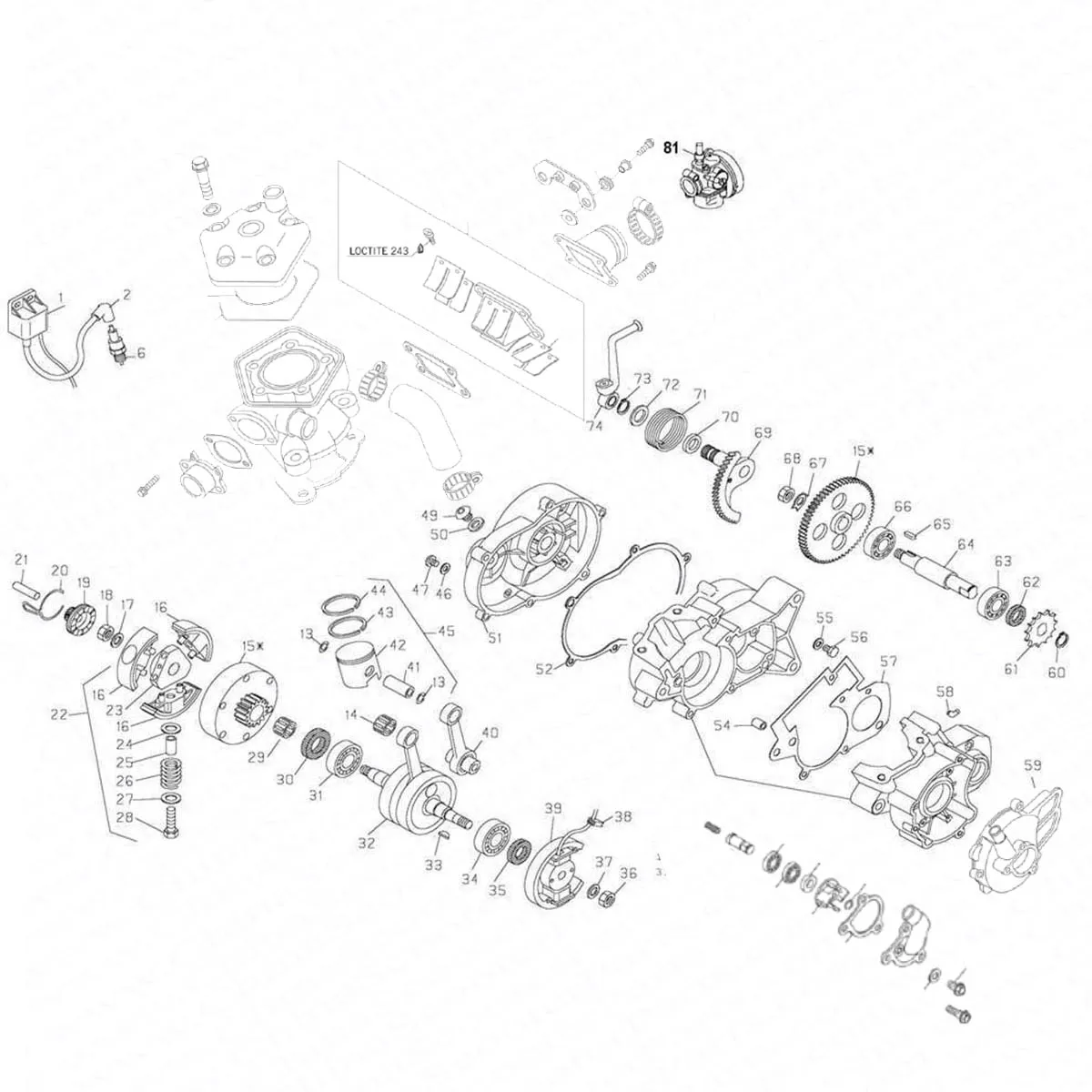 50CC 2 stroke Water Cooled Engine for  K T M  SX 50 PRO SENIOR Mini Moto Dirt Pit Cross Bike