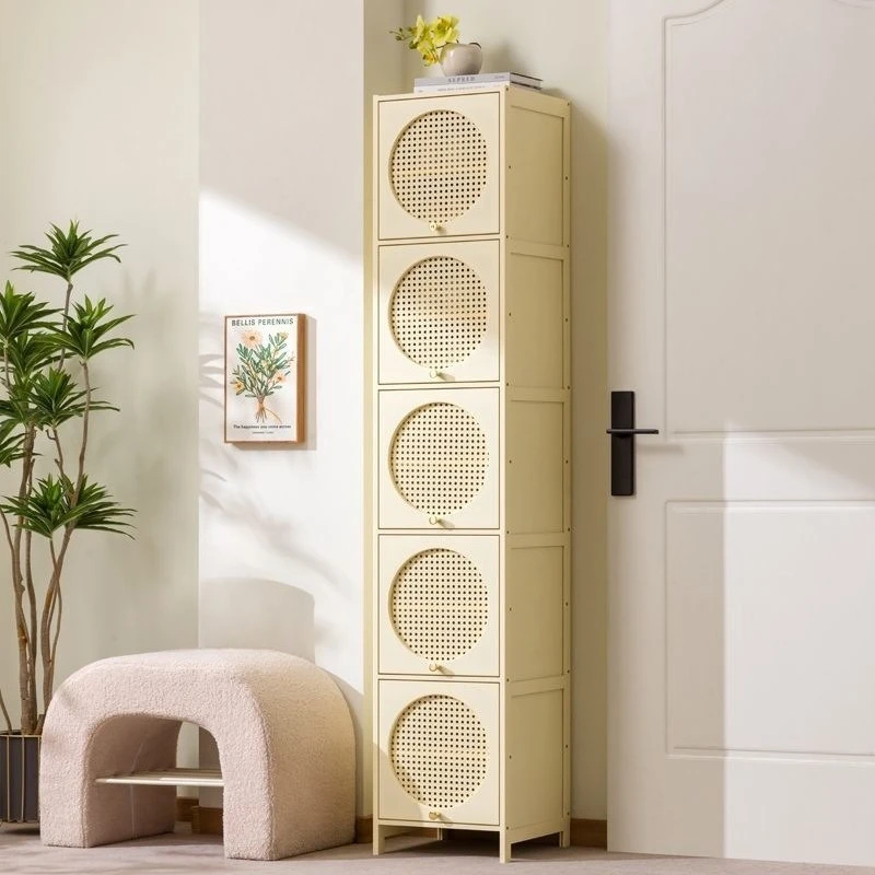 Pin shoe cabinet Home shoe cabinet With door Dust Corridor storage
