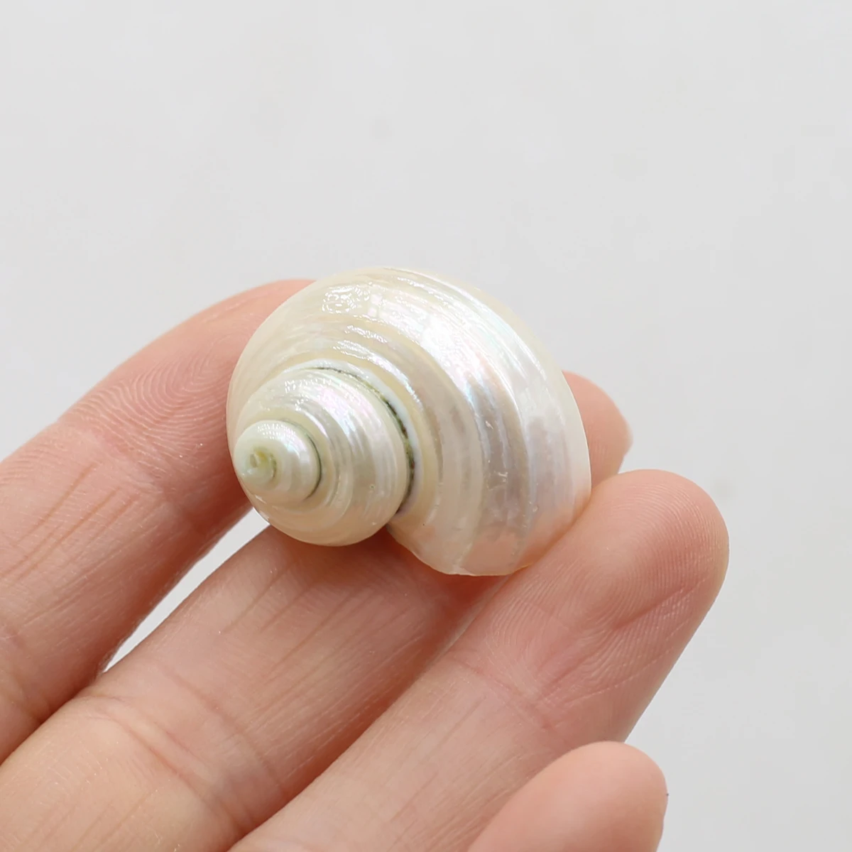 Natural Shell Irregular Silver Conch Bead Pendant Craft DIY Jewelry Making Necklace Earring Accessories Gift Decor 20x25-25x30mm