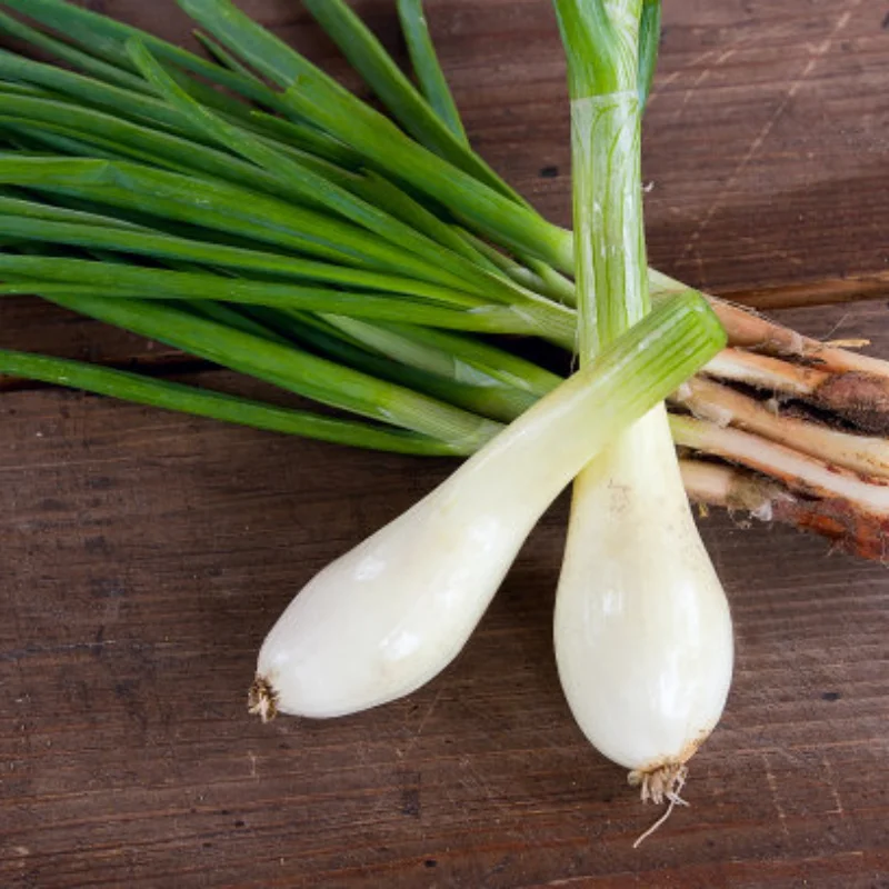 

1,9-дюймовые резиновые шины 120 мм + металлическая ступица колеса для 1/10 Rc Crawler Car Trxs Trx4 Trx6 Axial Scx10 90046 Redcat Yikong Rc4wd Rgt