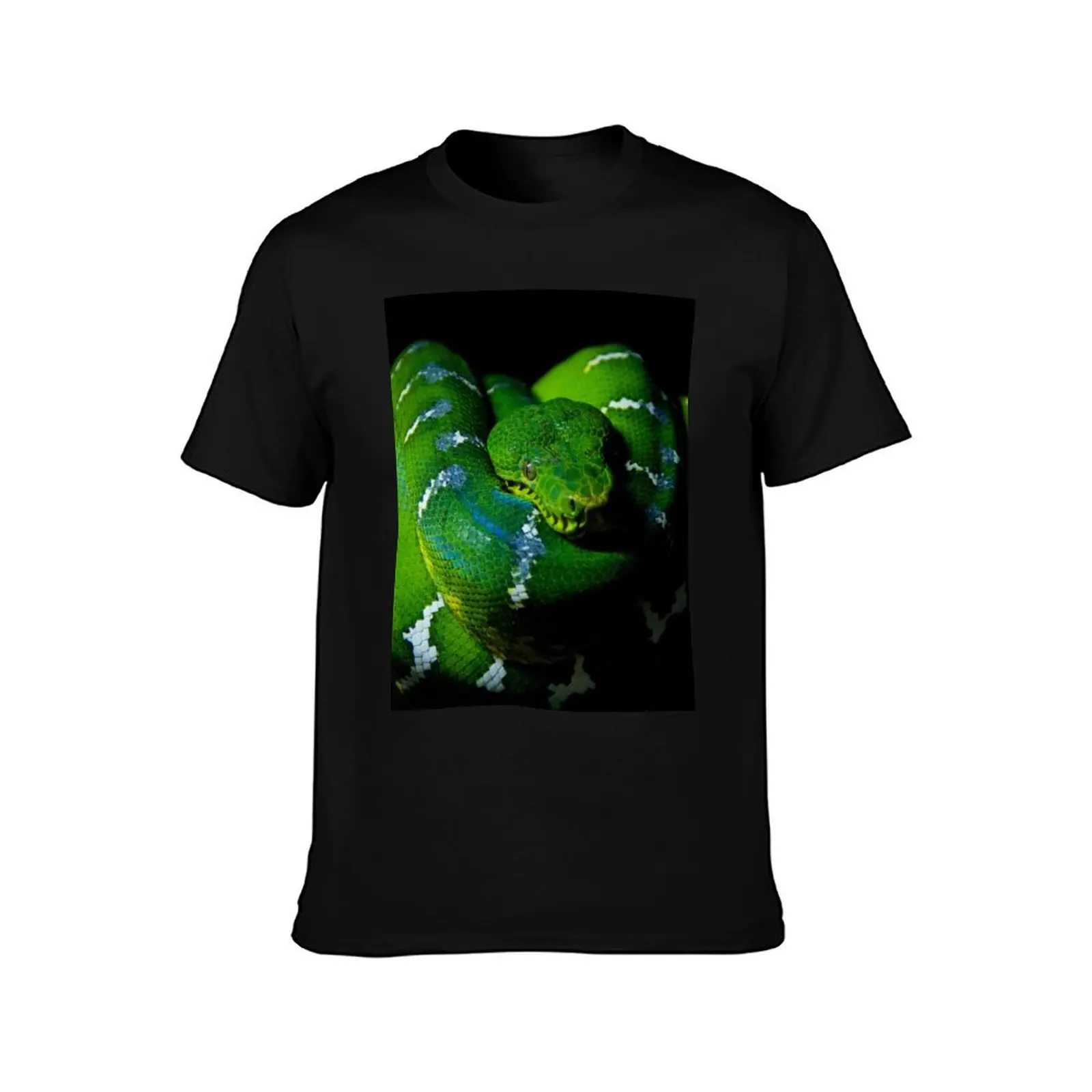 Emerald Tree Boa T-Shirt Casual All Match Tee Shirt for Men T-Shirt