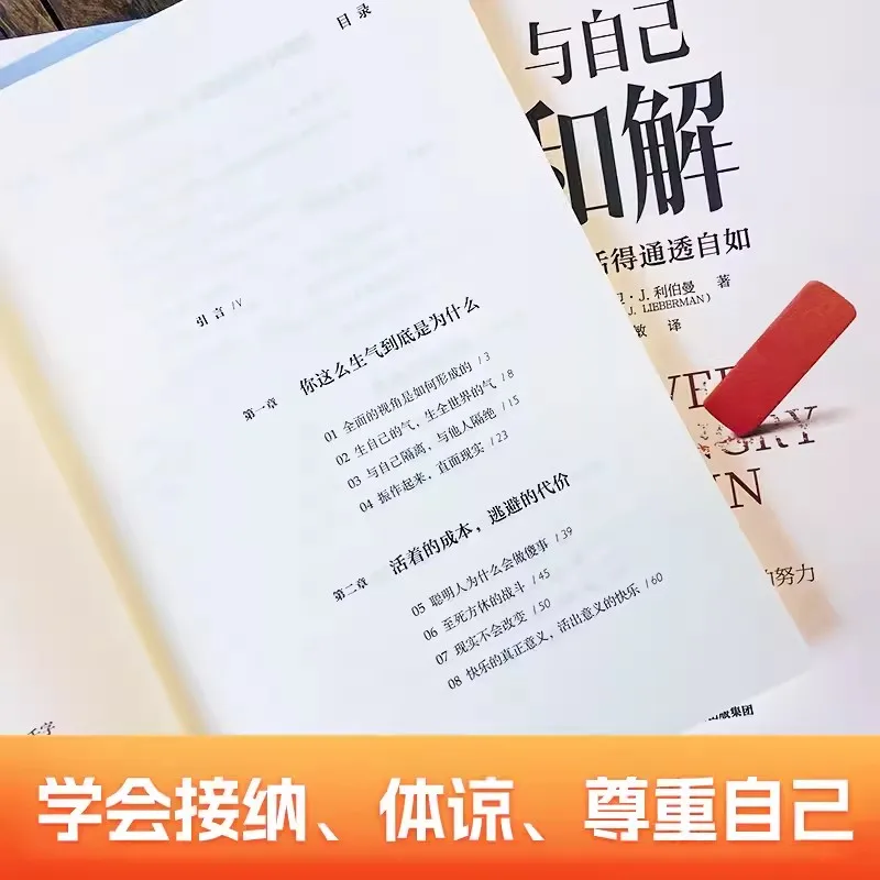 Never Get Angry Again How To Reconcile With Oneself and Live Freely and Transparently Improve Delay Satisfaction Capability