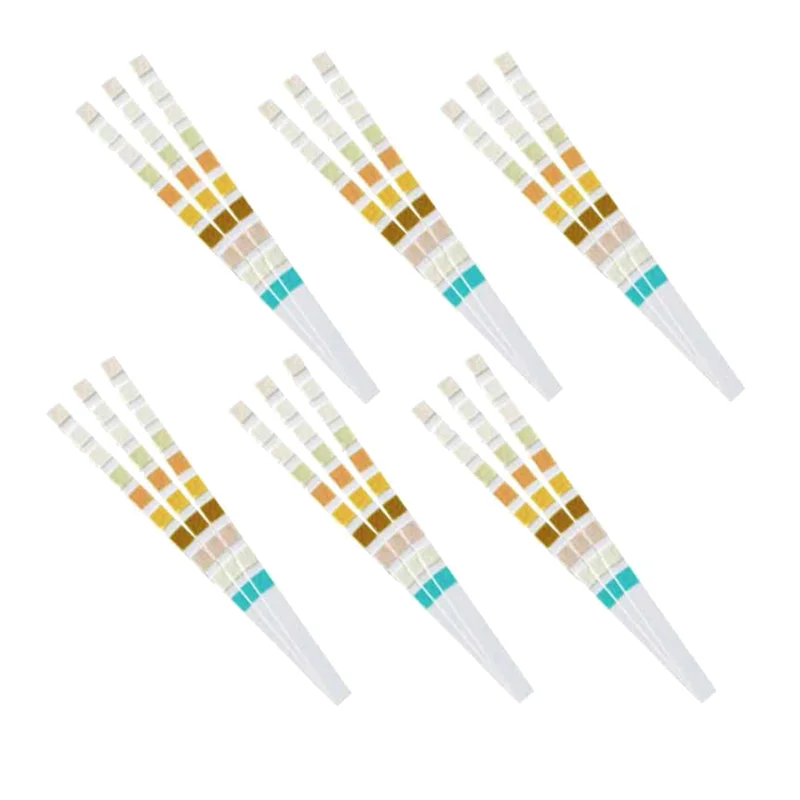 100 Strips Urine Test Strip 10 Parameters