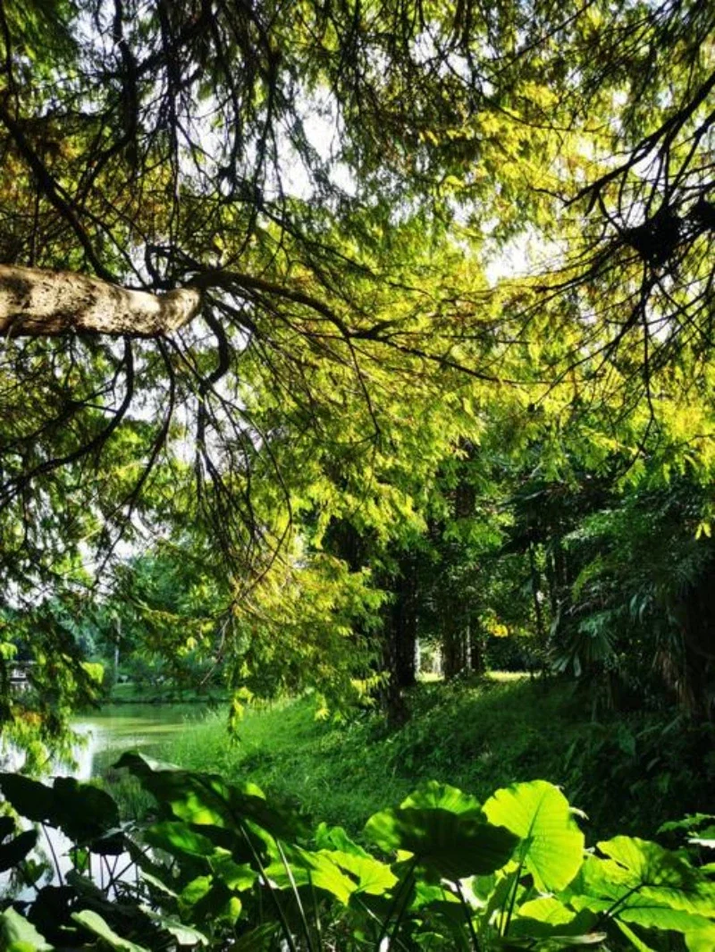 

Paint Pen Supplies Modification Accessories Car Paint Scratch Repair Car Scratch Remover Paint Repair Set For Audi Q5 L