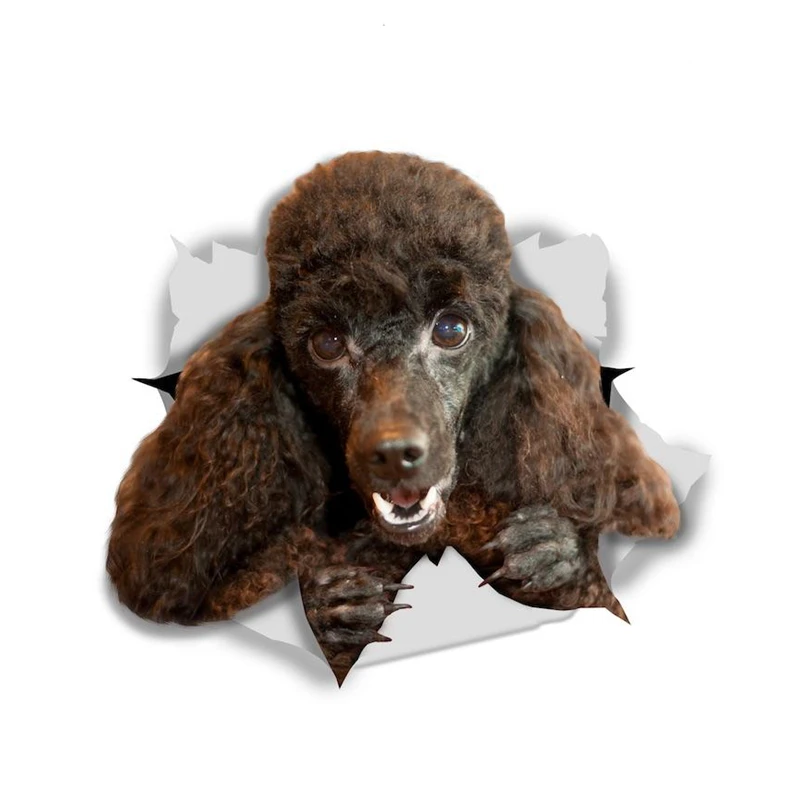 

Happy Black Poodle Dogs Car Sticker Vinyl Decal Waterproof Accessories on Bumper Rear Window Laptop