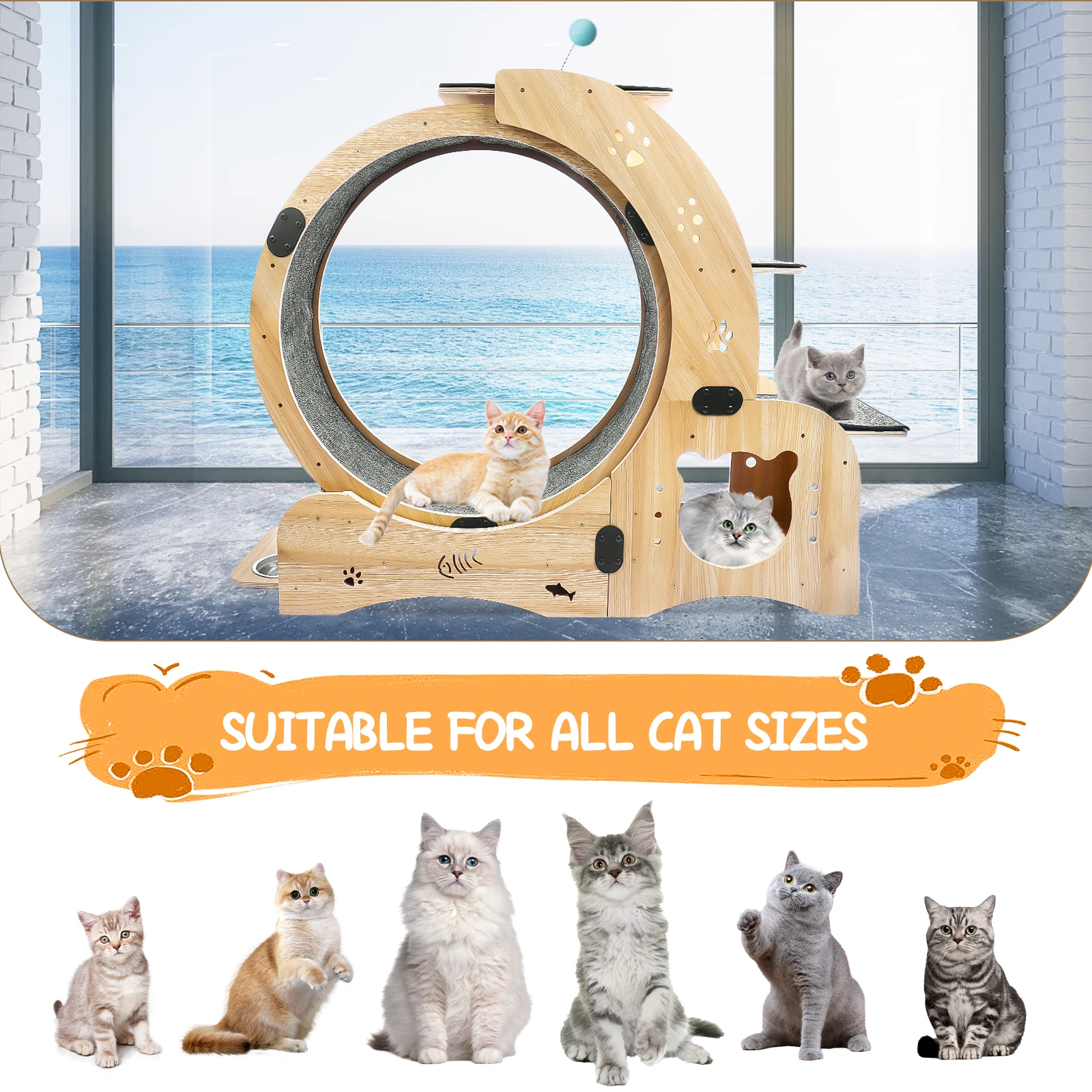 

Cat Exercise Wheel, 4 In 1 Cat Treadmill With Climbing Ladders Shelf, House, Cat Bowls, Ultra Quiet Indoor Cats Daily Running