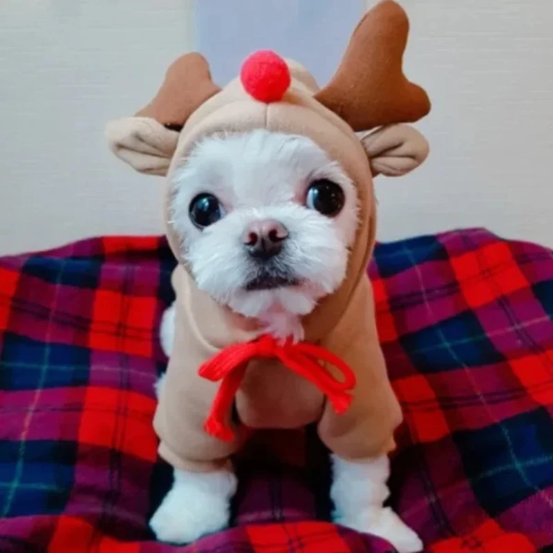 Elk/Reindeer Pet Hoodie 3