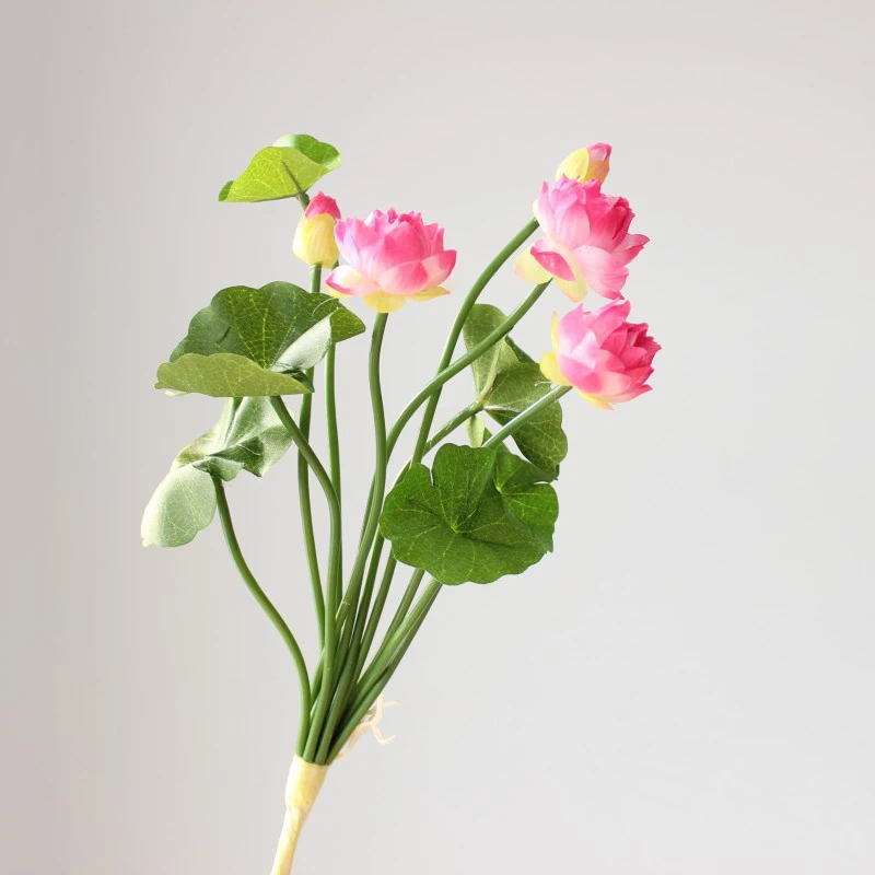 زهرة اللوتس الاصطناعية لديكور المنزل الحزب ، أسلوب أنيق ، ألوان زاهية ، وهمية ، عطلة