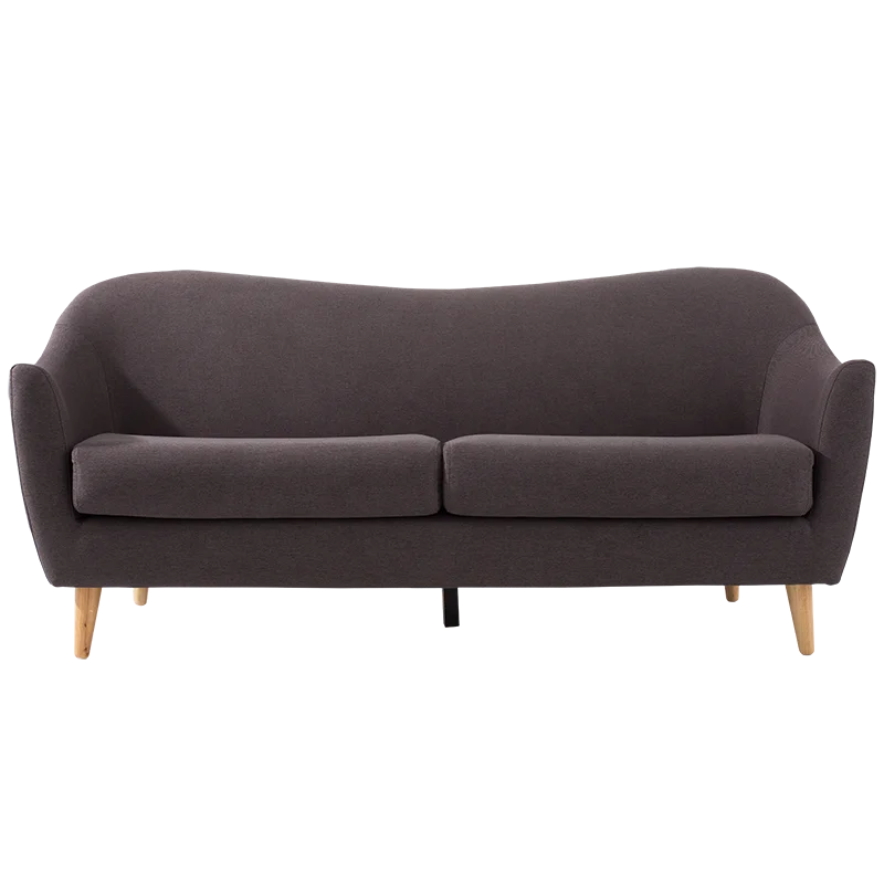 

Contemporary Reclining Sofa with Memory Foam Cushion Modern Fabric Couch for Living Room