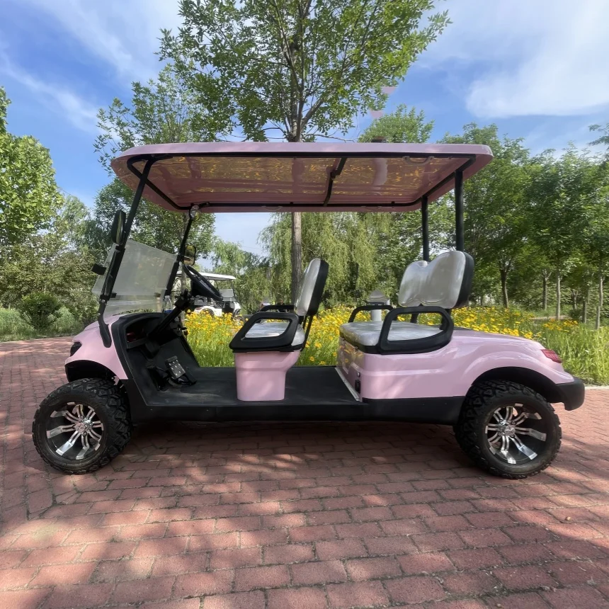 

Save Energy Electric Golf Cart Off-Road Vehicle Self-Adjusting Rack And Pinion Steering System VIP Honoured Guest Electric Car