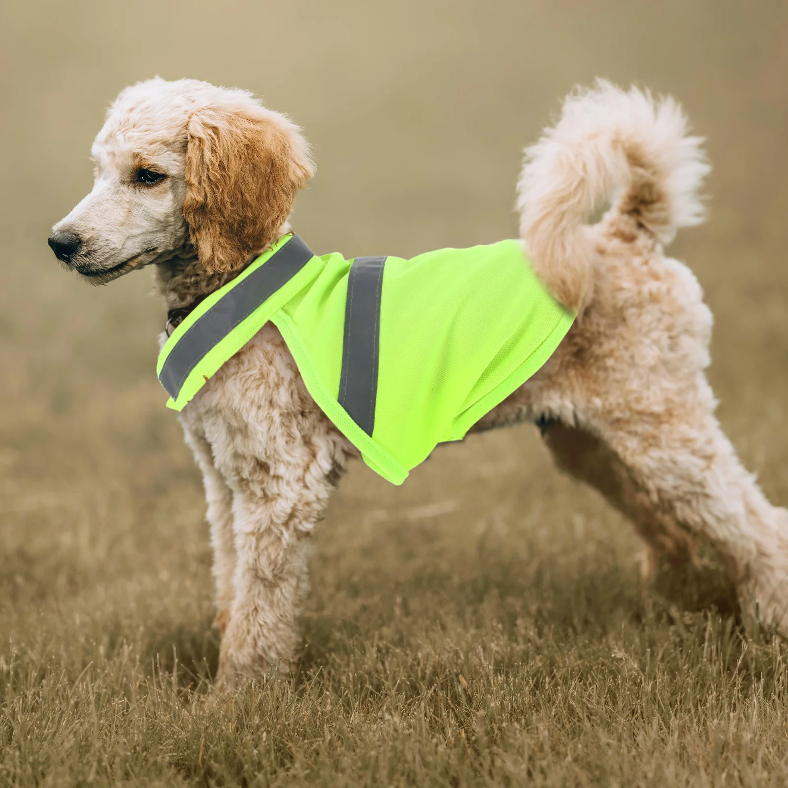 

Pet Reflective Safety Vest Fluorescent Yellow S Lightweight Durable Breathable For Dog Walking Running Hiking Adjustable