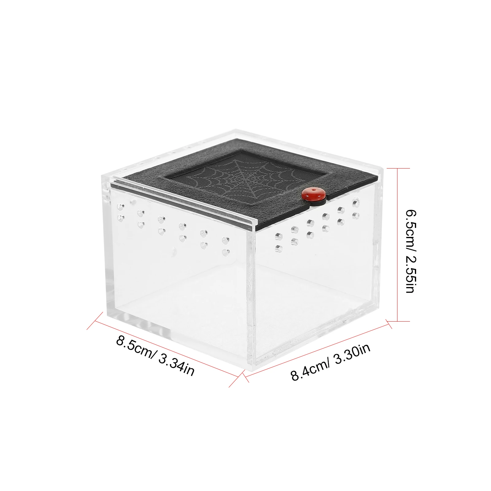 Clear Acrylic Reptile Feeding Boxes 2