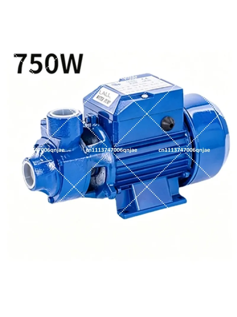 Cast Iron Self Priming Centrifugal Water Pump 550W 750W High Pressure Booster Pump for Well Pumping - view 2