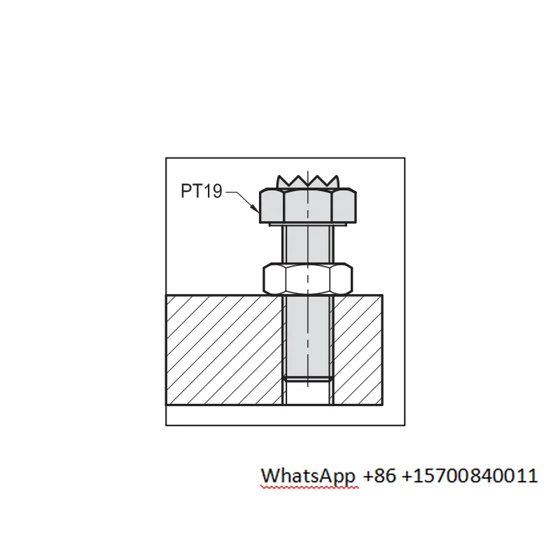 Toothed screw fixture Toothed positioning screw, fixing screw PT19
