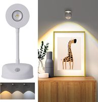 Wireless Rechargeable Painting Lamp with Motion Sensor and Rotatable Light,Stepless Dimming Art Display Light for Picture Frame