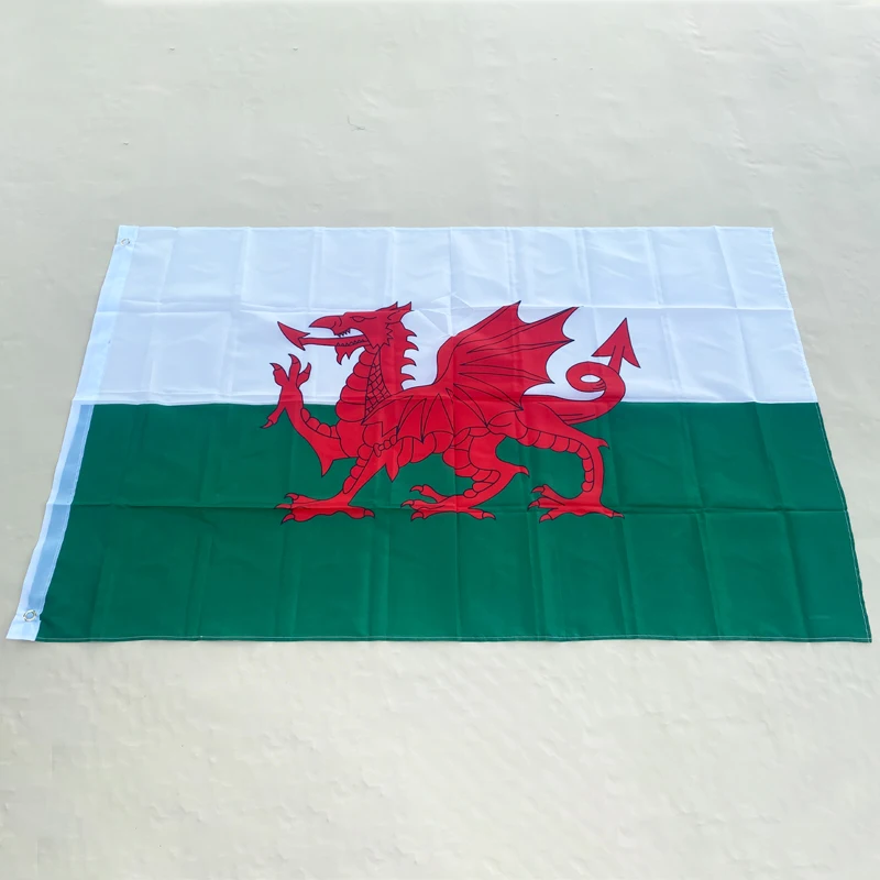 EOODLOVE FLAG Welsh Flag 90X150cm High Quality Polyester Fiber Hanging Flag Welsh Red Dragon Flag